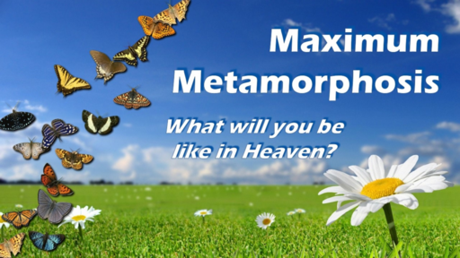 Maximum Metamorphosis