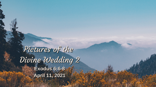 Pictures of the Divine Wedding (part 2) - Exodus 6:6-8