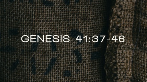 Genesis 41:37-46
