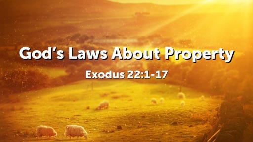 God's Laws About Prosperity
