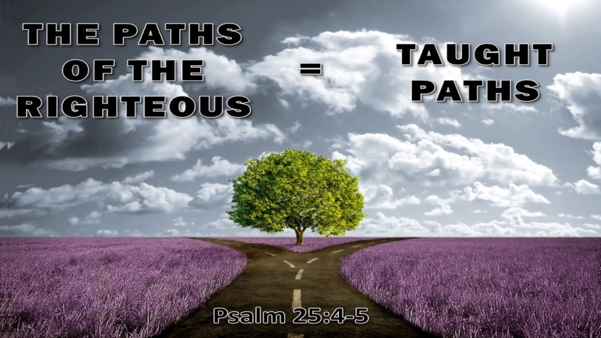 Taught Paths 4/14/2021 7pm - Logos Sermons