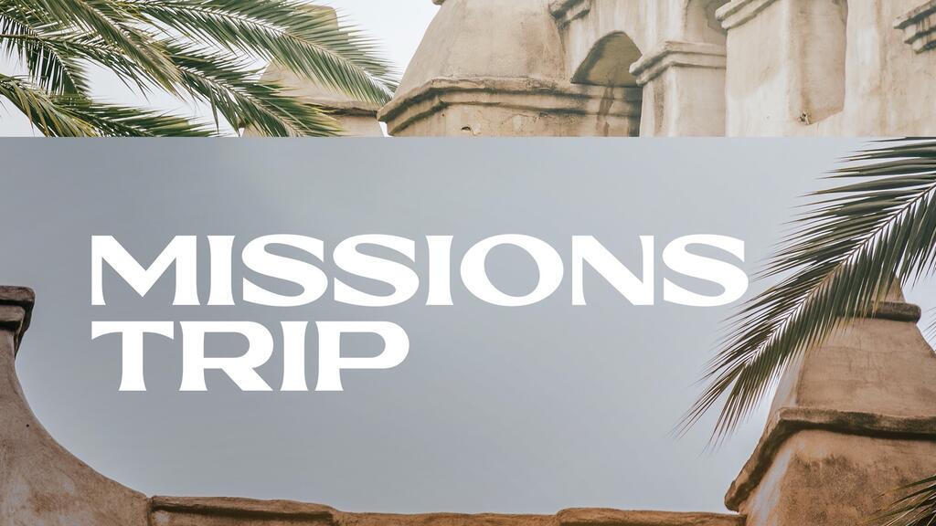 Mission Trips Palm large preview