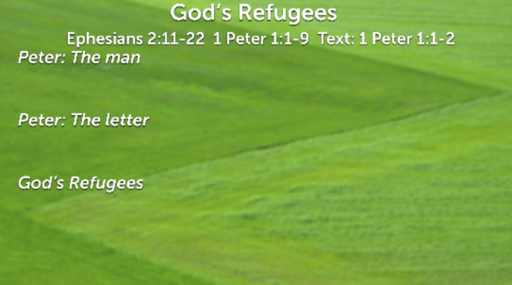 God's Refugees