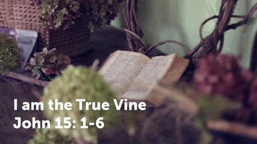 I Am The True Vine