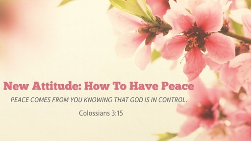 New Attitude: How To Have Peace