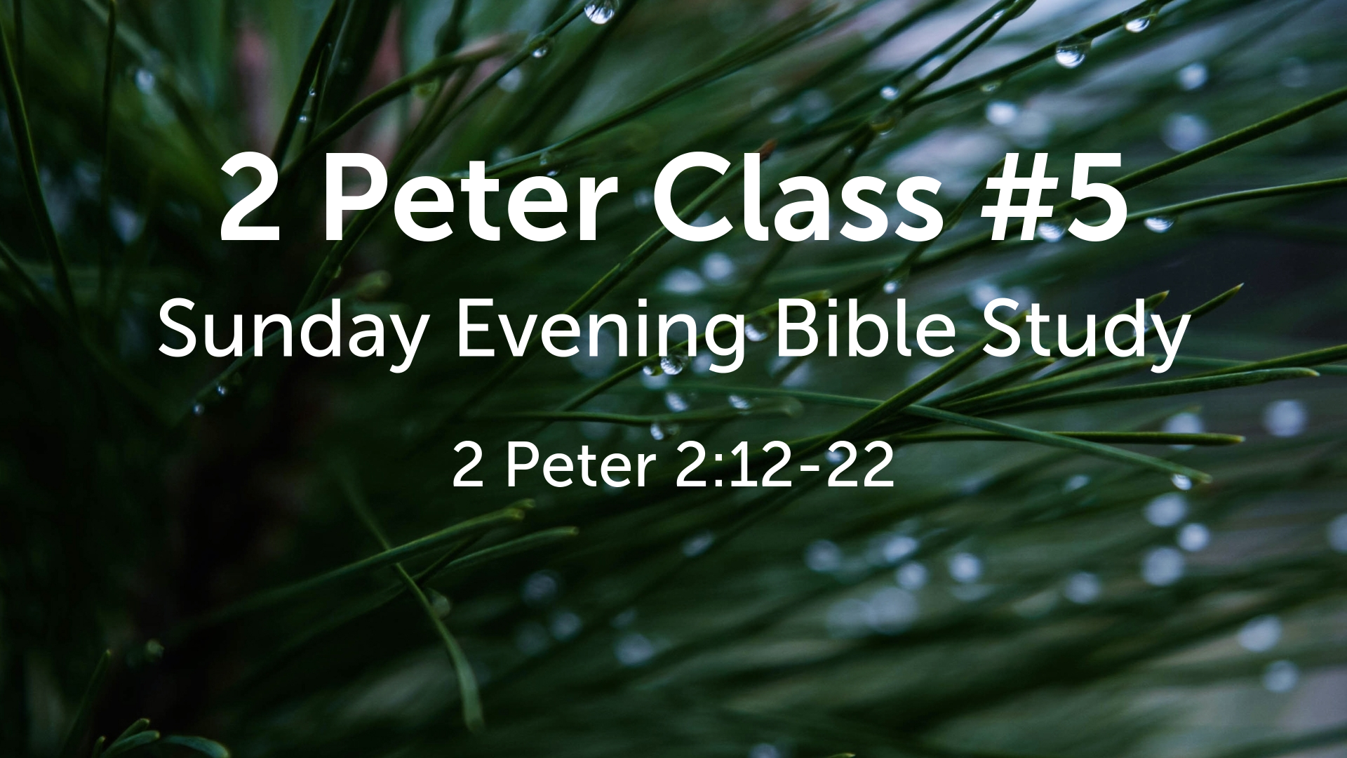 2 Peter Class #5 - Logos Sermons