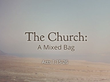 The Church: A Mixed Bag