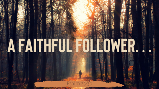 A Faithful Follower...