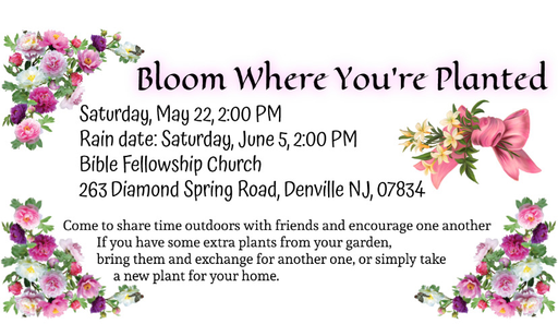 Bloom