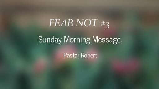 Fear Not #3