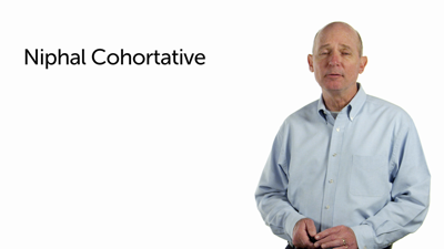 Niphal Cohortative, Jussive, and WCI