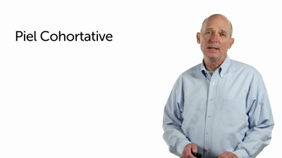 Piel Cohortative and WCI