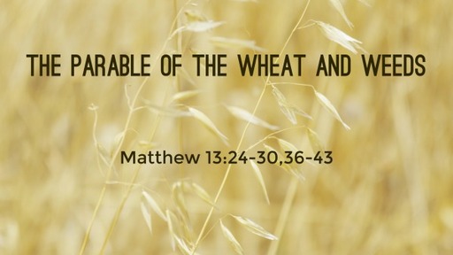 The Parable Of The Wheat And Weeds - Tom McDonnell