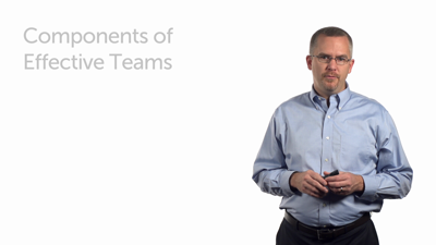 Components of Effective Teams