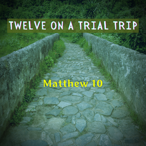 Twelve On A Trial Trip