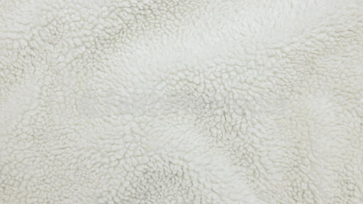 Cream Sherpa Texture