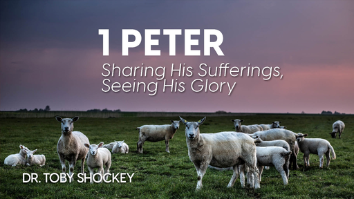 1 Peter Sharing His Sufferings, Seeing His Glory