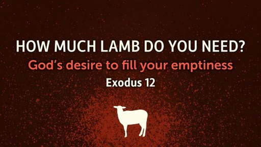 How much LAMB do you need?
