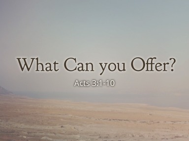 What Can You Offer?