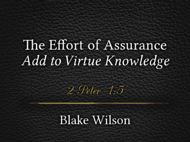 The Effort of Assurance: Add to Virtue Knowledge