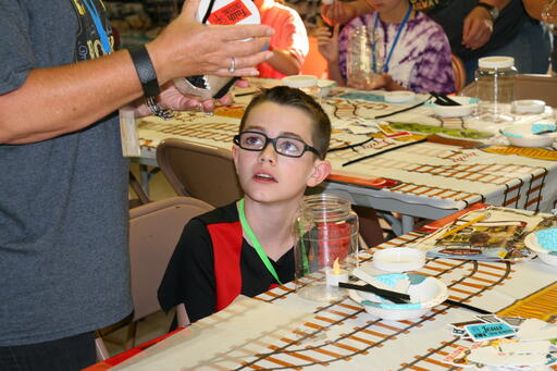 IMG 7595 IMG 7595