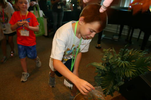 IMG 7579 IMG 7579