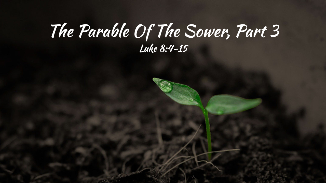 The Parable of The Sower, Part 3 - Logos Sermons