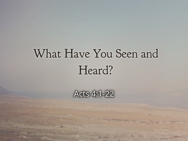 What Have You Seen and Heard?