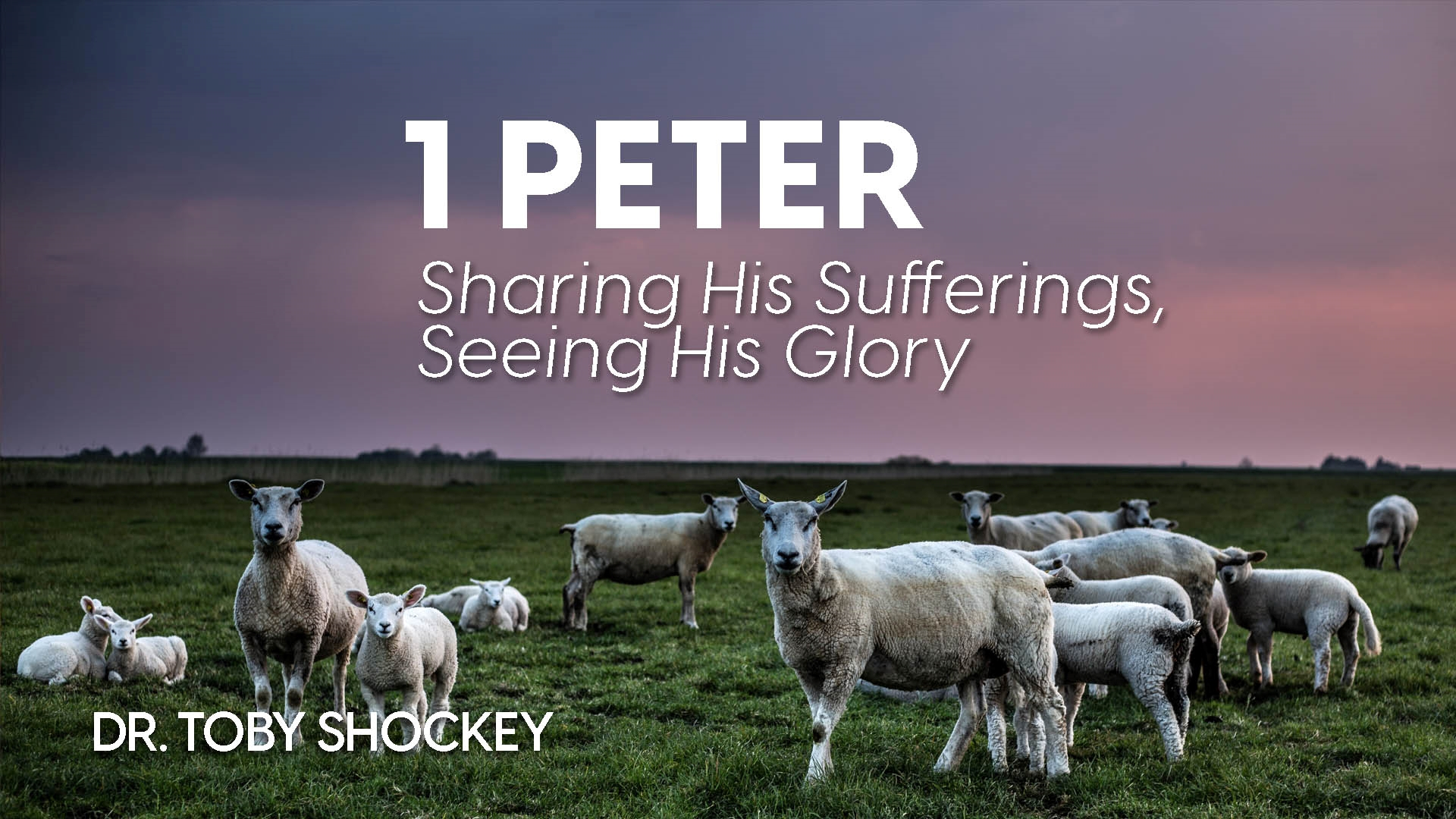 1 Peter Part 6 Submission Sorrows And Suffering 1 Peter 2 13 25 1-peter-part-6-submission-sorrows-and-suffering-1-peter-2-13-25