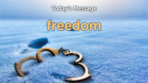 Freedom - Tom McDonnell