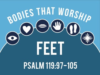 Bodies that Worship: Feet