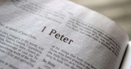1 Peter Ch. 3