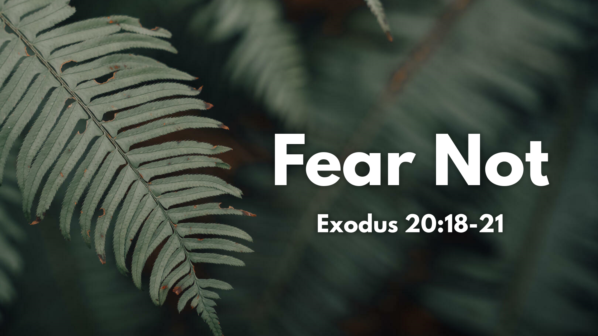 Exodus 20 18 21 Meaning Exodus 20 18 21 Meaning