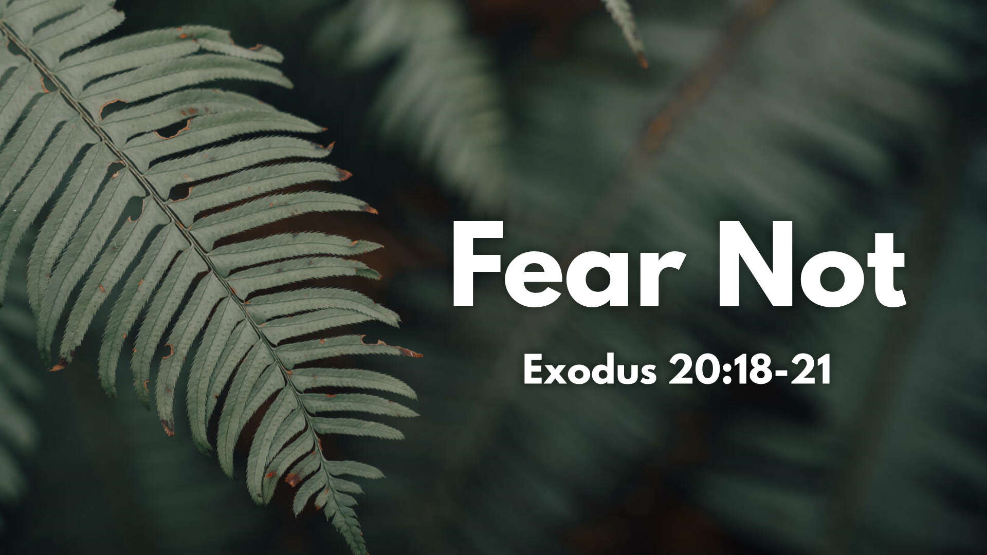 Exodus 20 18 21 Meaning