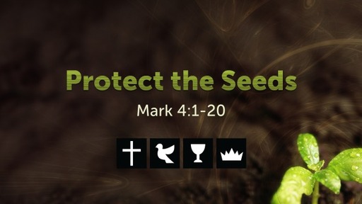7-4-21 Protect the Seeds: Mark 4:1-20
