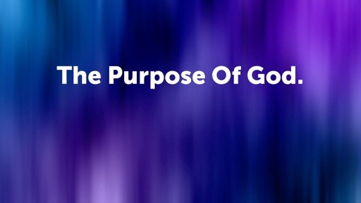 The Purpose Of God.