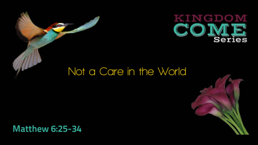 Not A Care In The World Not A Care In The World