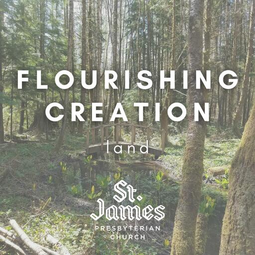 Flourishing Creation: Land