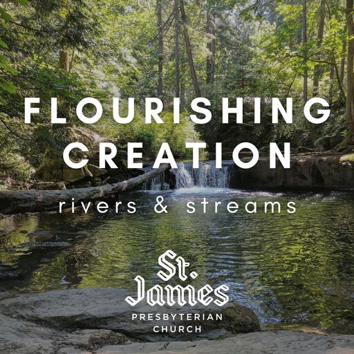 Flourishing Creation: Rivers & Streams