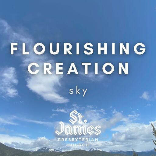 Flourishing Creation: Sky