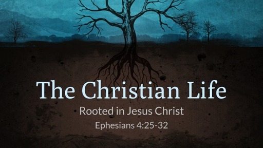 July 25, 2021 - The Christian Life