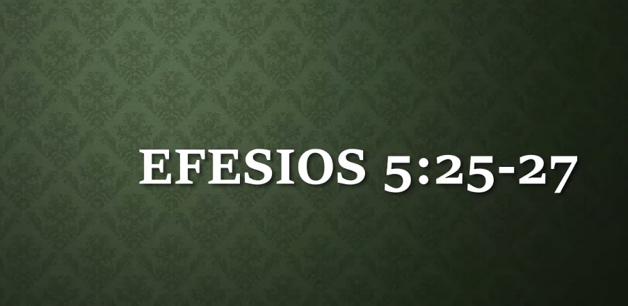 efesios 5 25 27 ntv