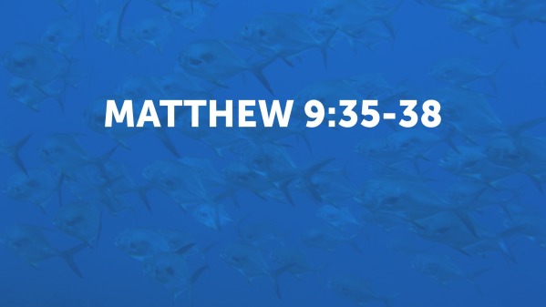 Matthew 9 35 38 Explanation