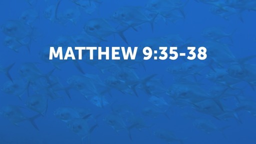 MATTHEW 9:35-38