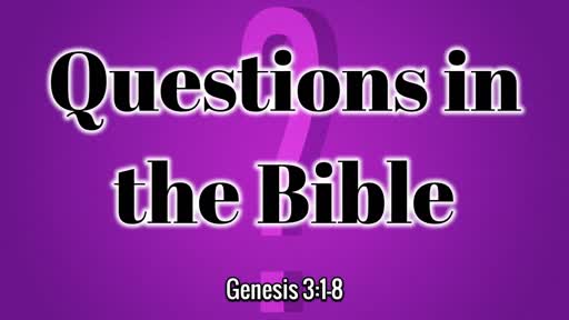 Questions in the Bible