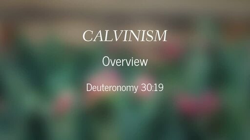 Calvinism-Overview