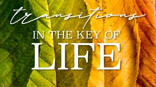 Transitions in the Key of Life
