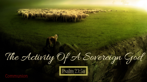 The Activity Of A Sovereign God