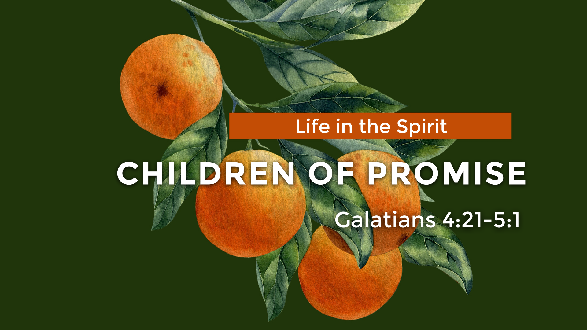 galatians-children-of-the-promise-logos-sermons