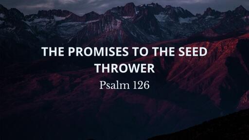 The Promises to the Seed Thrower